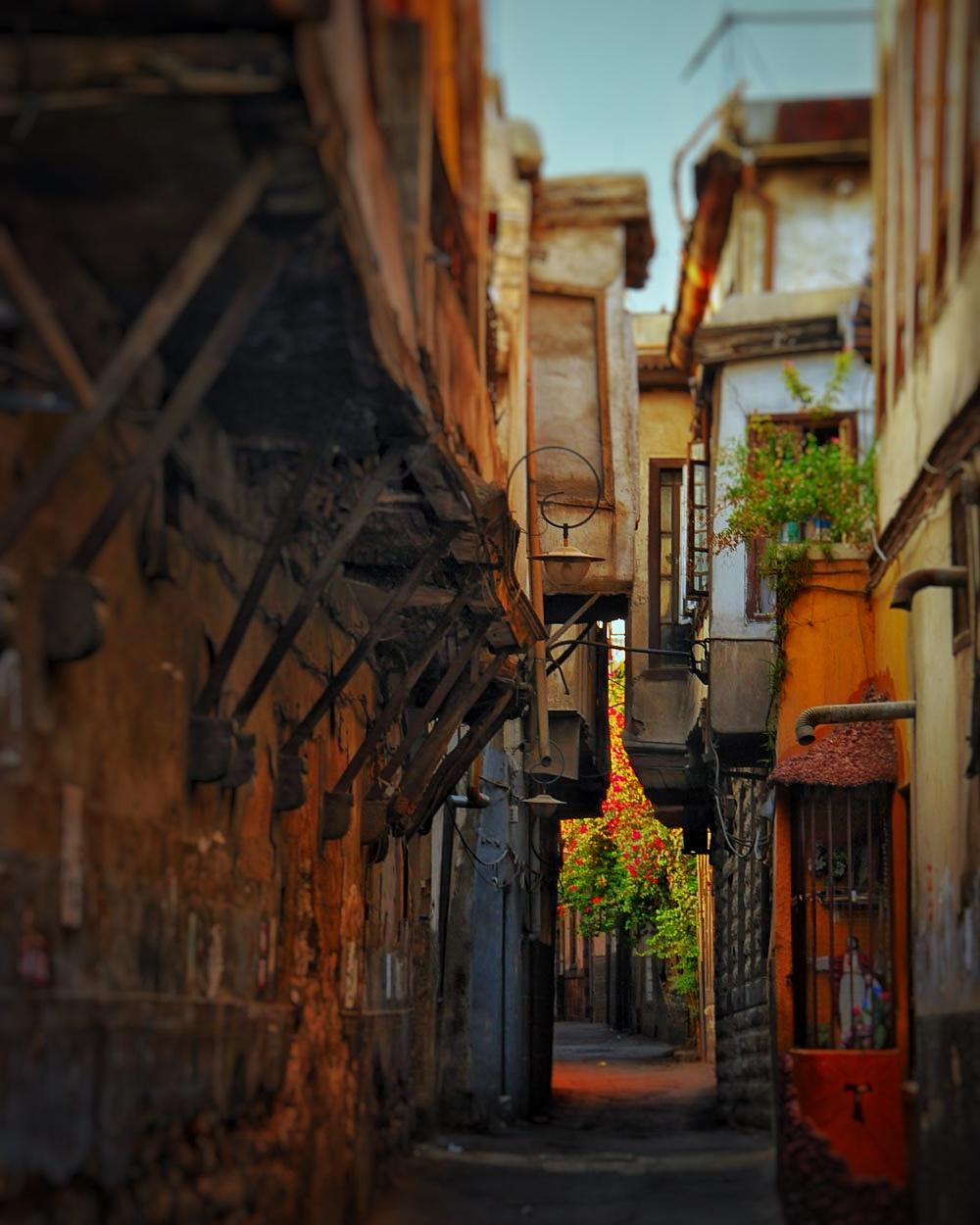 ديموغرافيا دمشق