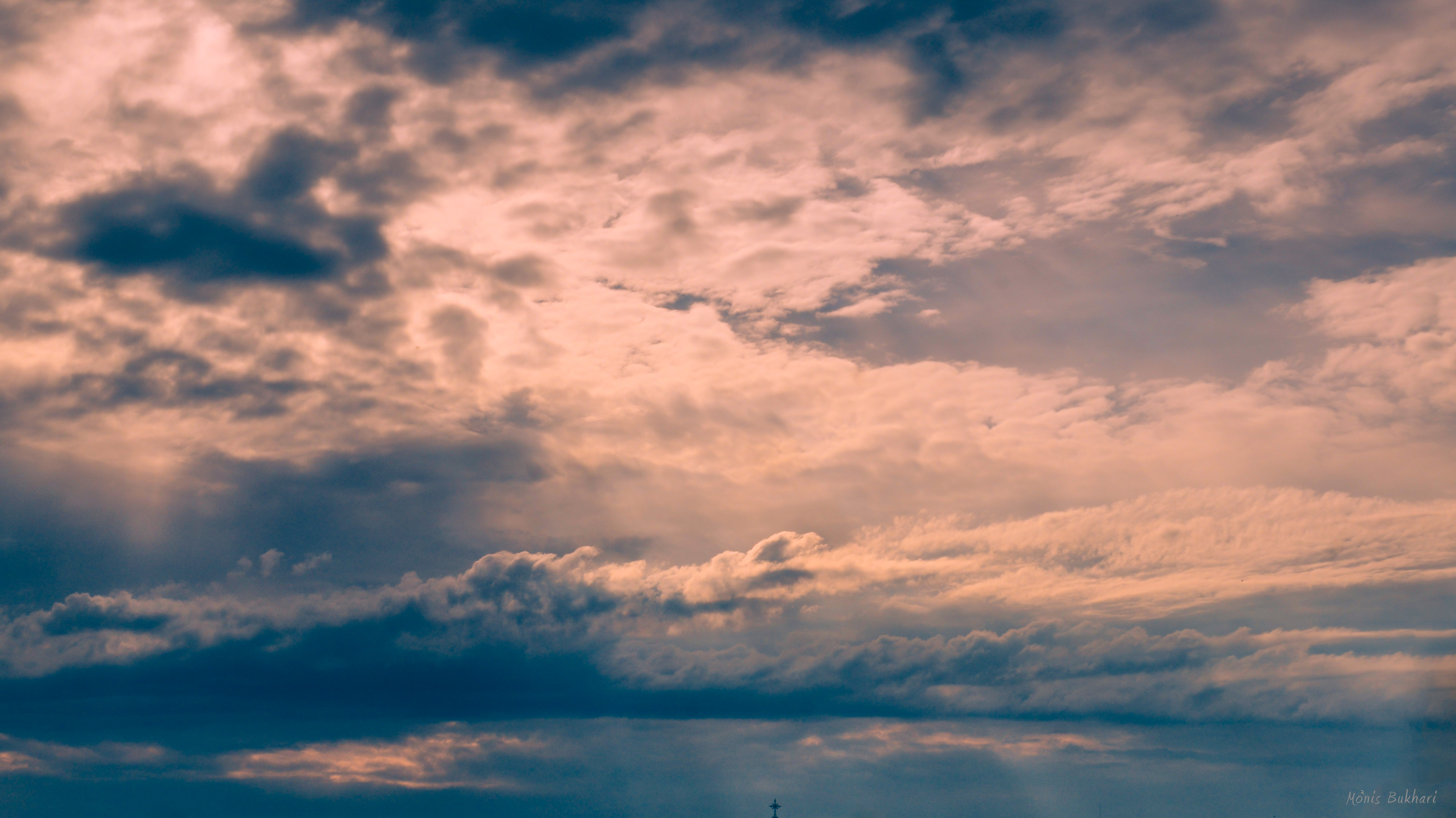 اصنع أخطاءك، طوال العام التالي وإلى الأبد