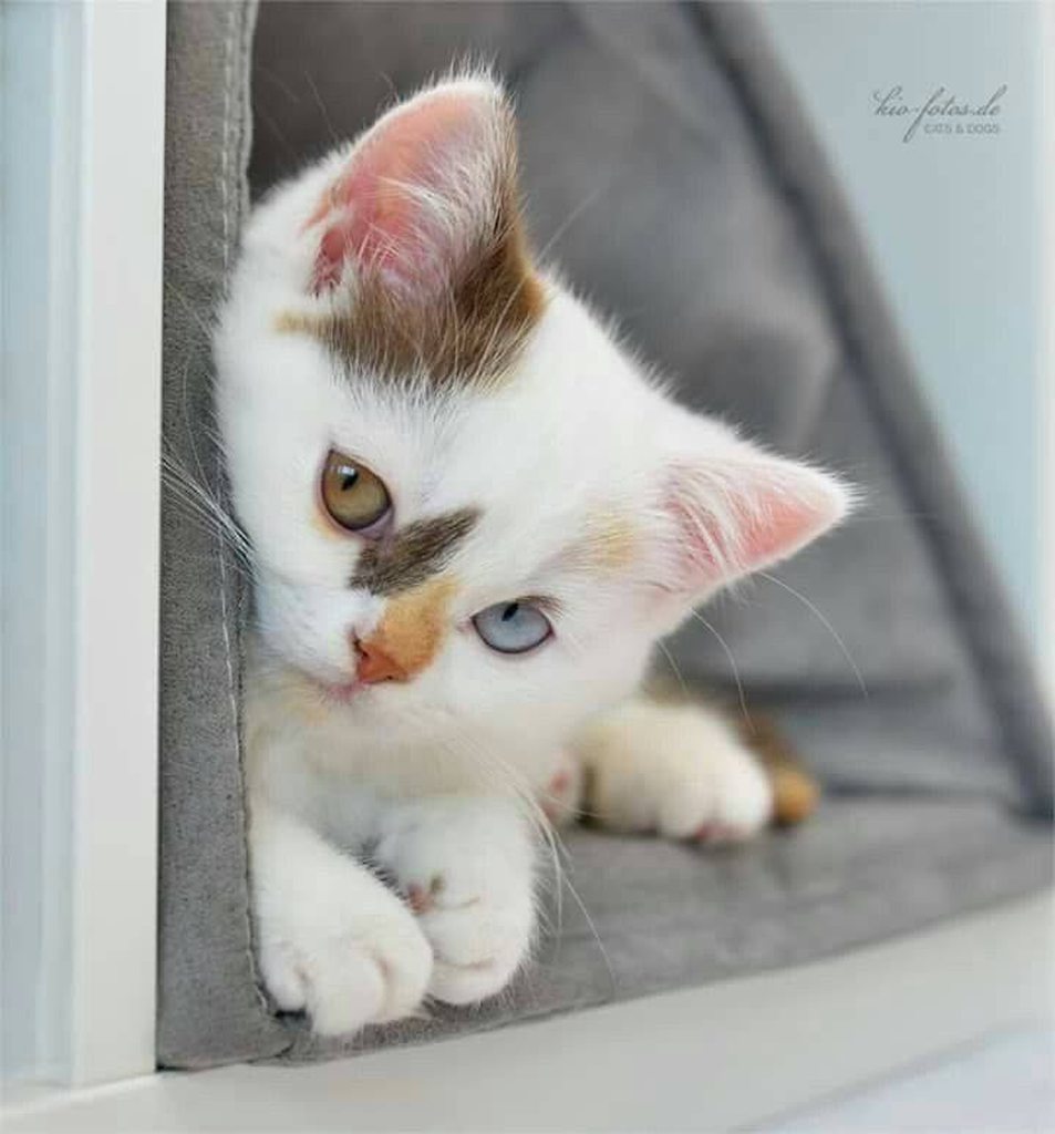 لا تخف على خزفك، فالحياة كسّارة