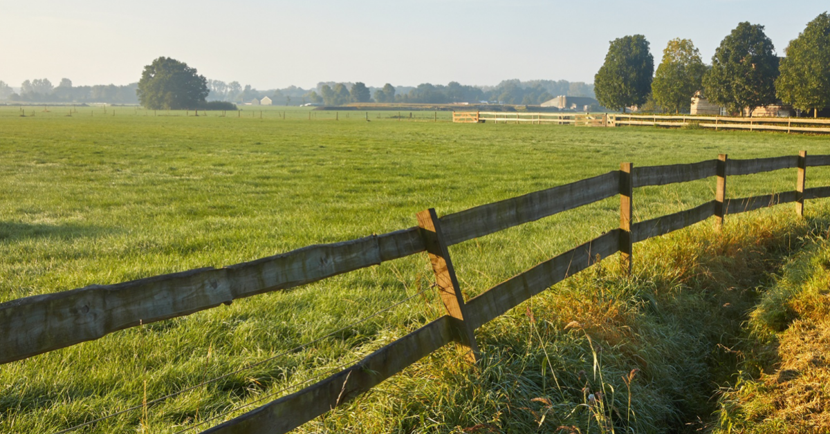 تأصيل كلمة ضيعة