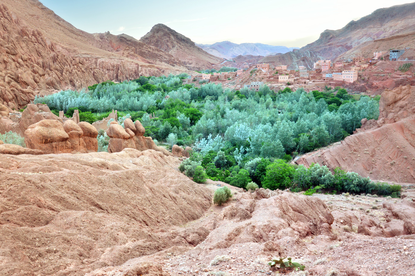 في تأصيل كلمة وايد