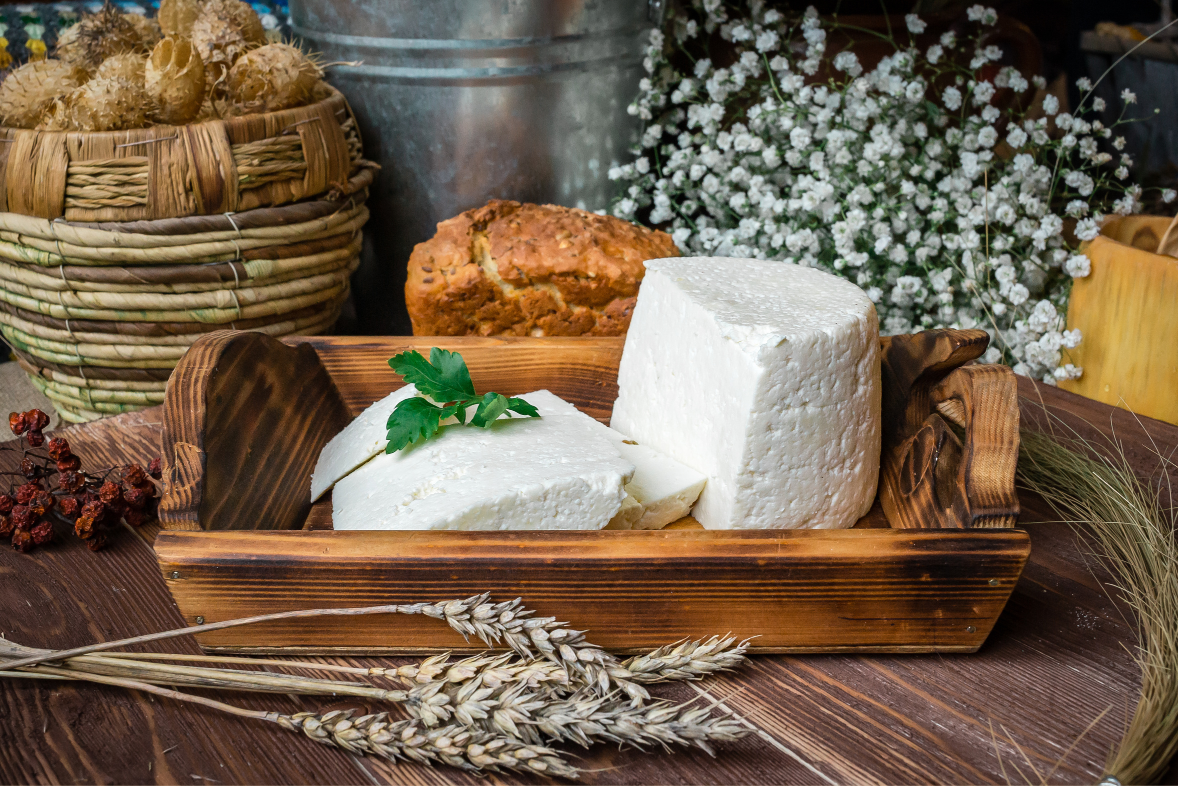 الجبنة الشركسية المدقوقة، حيوانية ونباتية