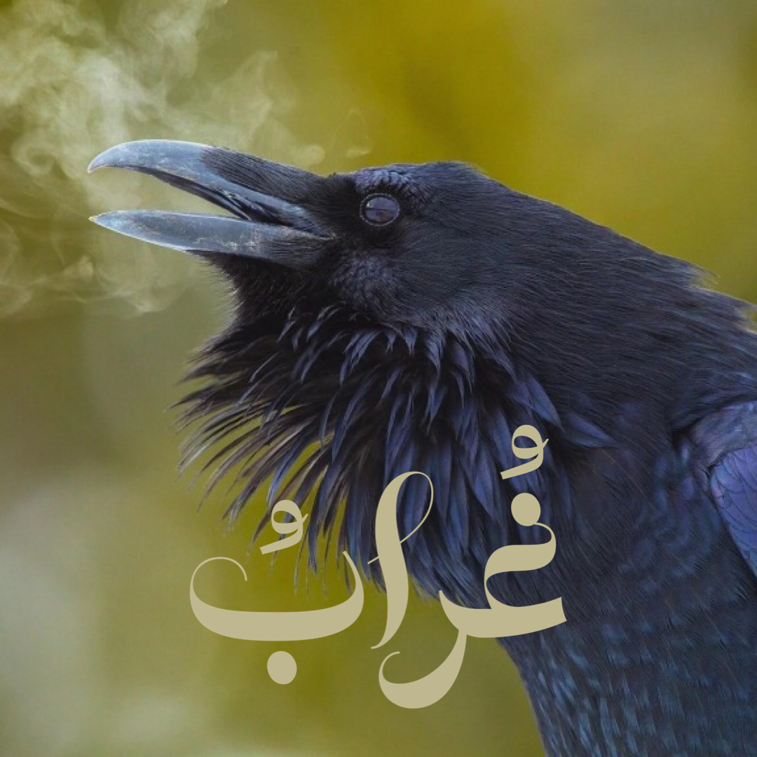 رمزيّة الغراب ومعانيها، في الفلسفات الدينية والأرواحية