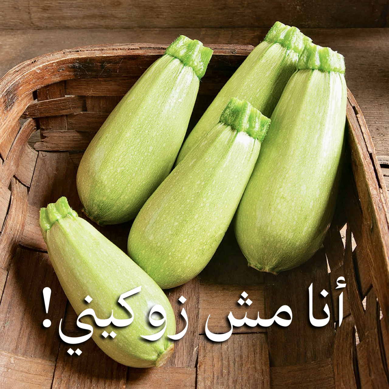 الكوسا الشامية والزوكيني الأوروپي