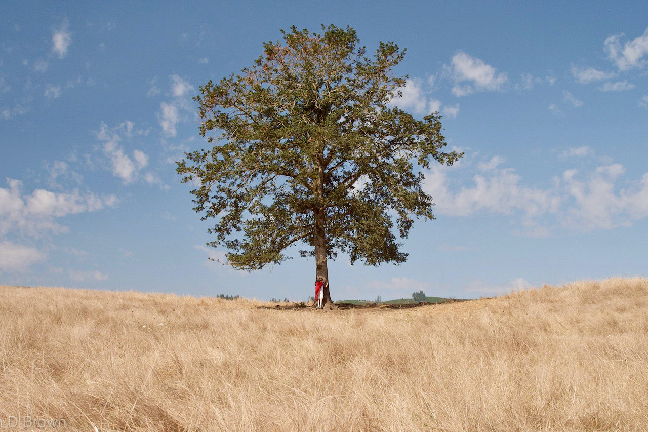 الكراهية: مرض أم إنسانية؟