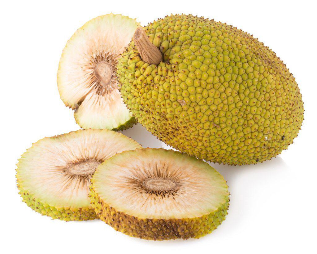 خبزية محزوزة