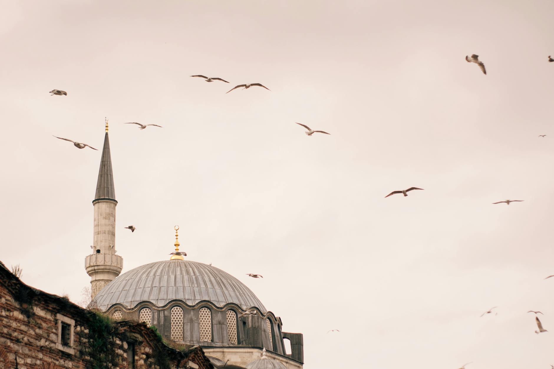 آثار انهيار الدولة العثمانية على المجتمع التركي في المراجع الروسية