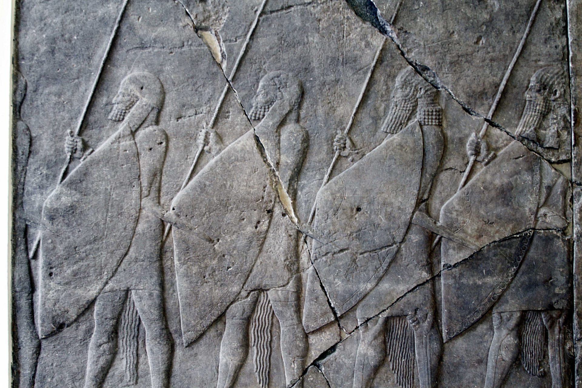 الفصحى ليست الأم: إعادة رسم شجرة اللّغات العربية بعيداً عن الأوهام