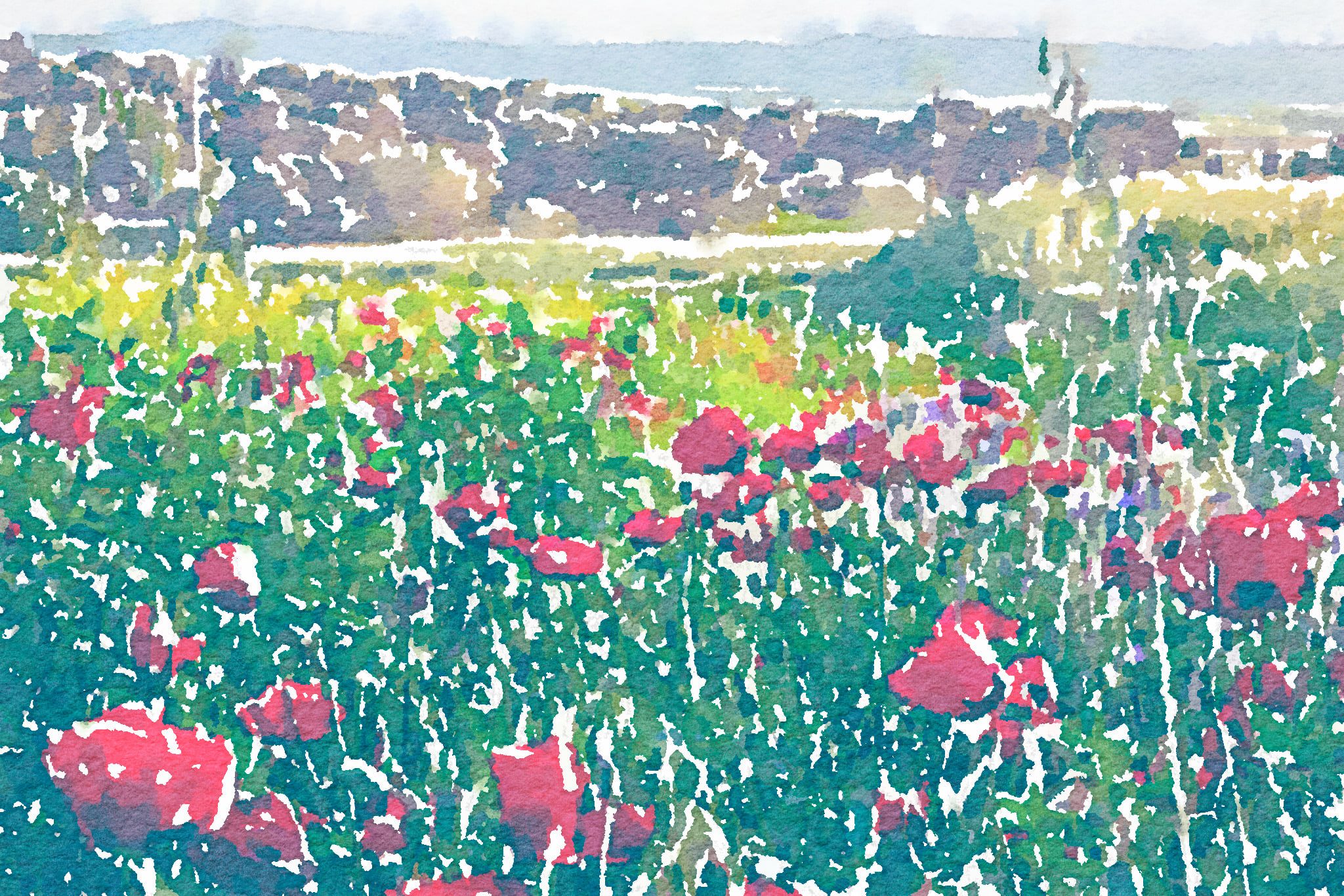 Artwork by @moniseum IG Monis Bukhari