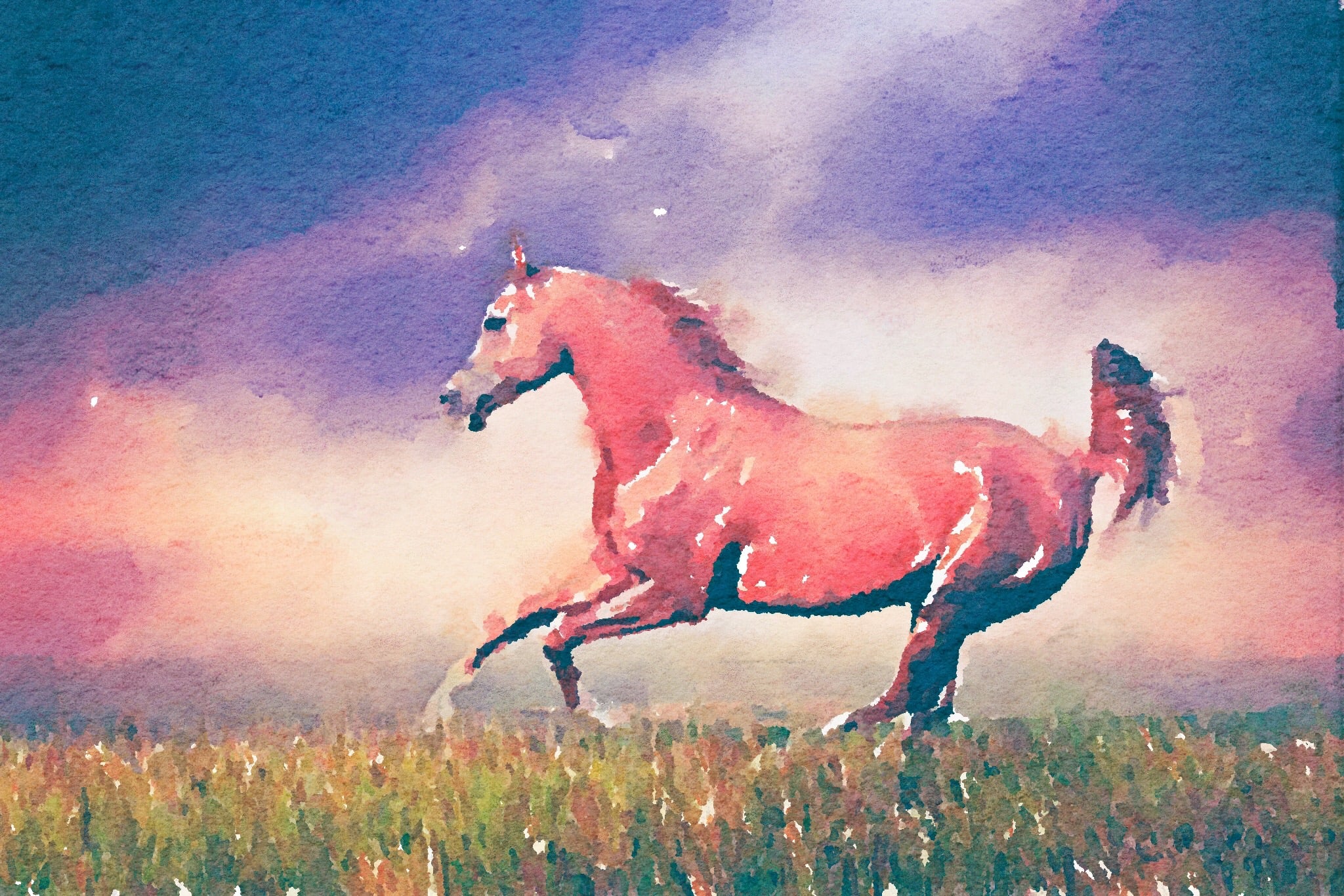 خيل العرب