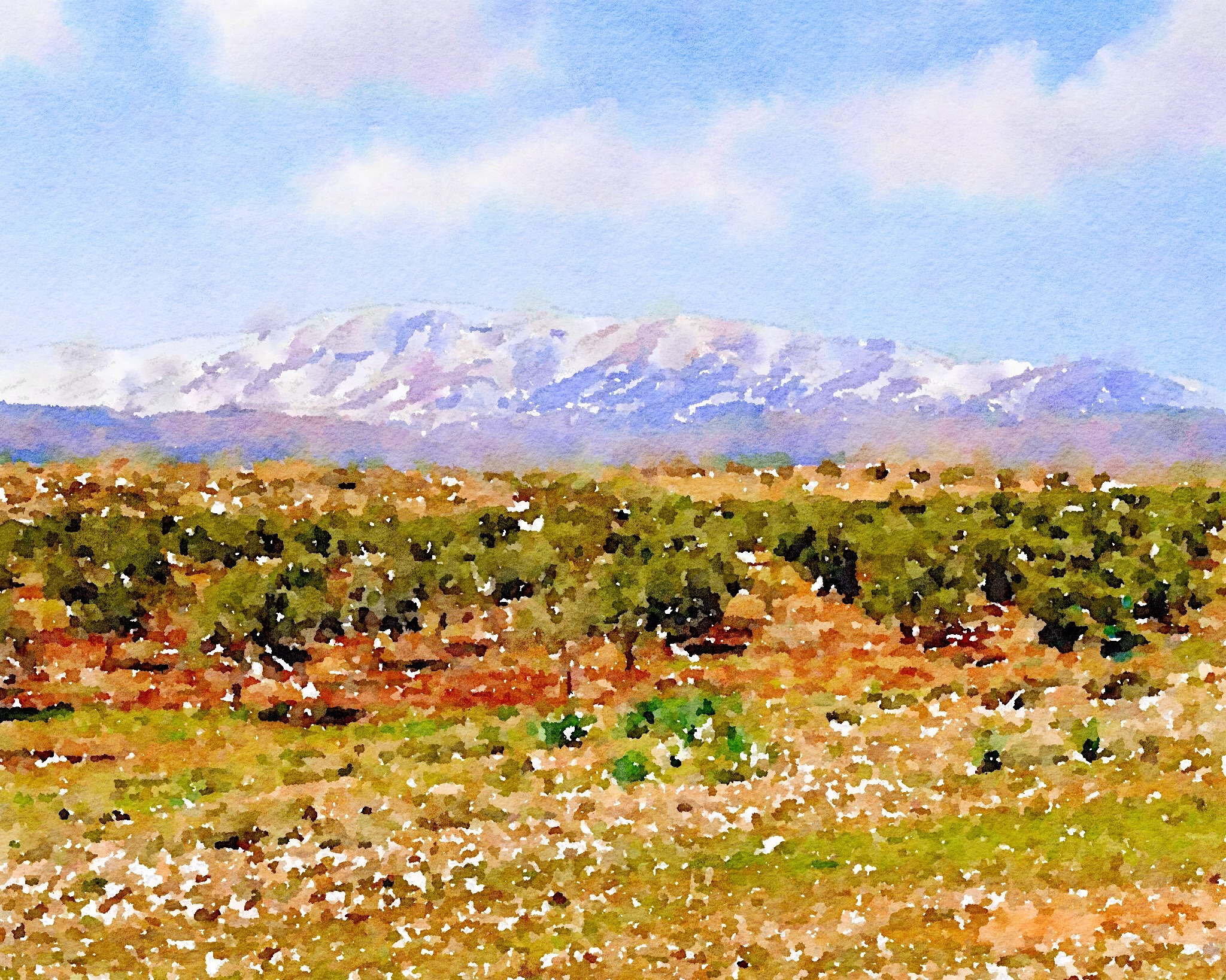 Artwork by @moniseum IG Monis Bukhari