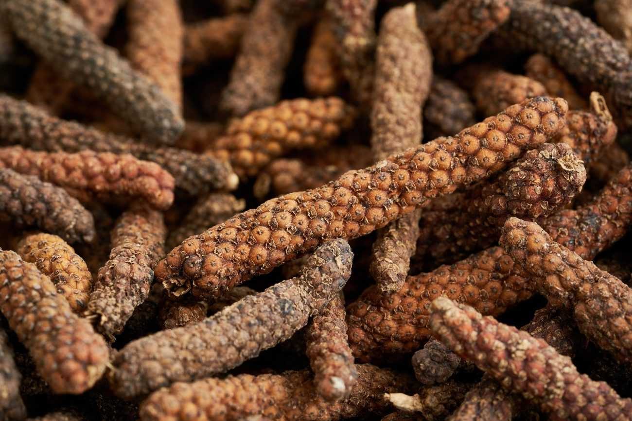 فلفل أسود طويل \ دار فلفل